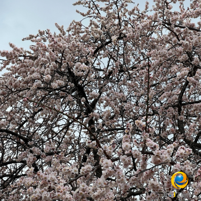 名称未設定のデザイン (4)