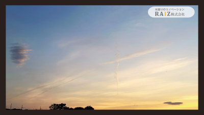 RAIZのコピーのコピー